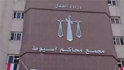 السجن المؤبد لشقيقين قاما بقتل تاجر مواشي بمحافظة أسيوط