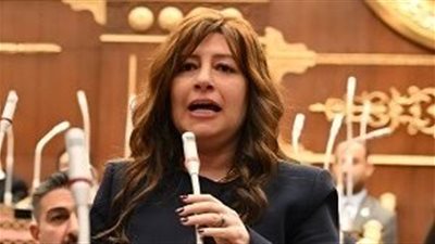 برلمانية تحذر من الترويج لـ«نظام الطيبات» على السوشيال ميديا: تهديد مباشر لصحة