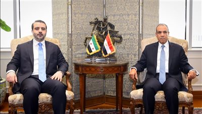 ‏ مصر: نرفض بشكل قاطع الانتهاكات الإسرائيلية السافرة للسيادة السورية