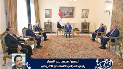 السفير محمد عبد الغفار: مصر تقود شراكات التنمية في أفريقيا