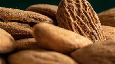     اكتشفي فوائد اللوز للبشرة وكيف يمنحك نعومة وإشراقة بدون مواد كيميائية