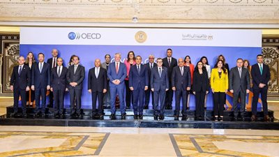 وزير التخطيط يشيد بنتائج البرنامج القطري مع منظمة التعاون الاقتصادي OECD
