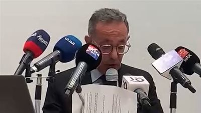 المتحف الكبير يعلن افتتاح محطة طاقة شمسية ليكون أكبر متحفًا صديقًا للبيئة