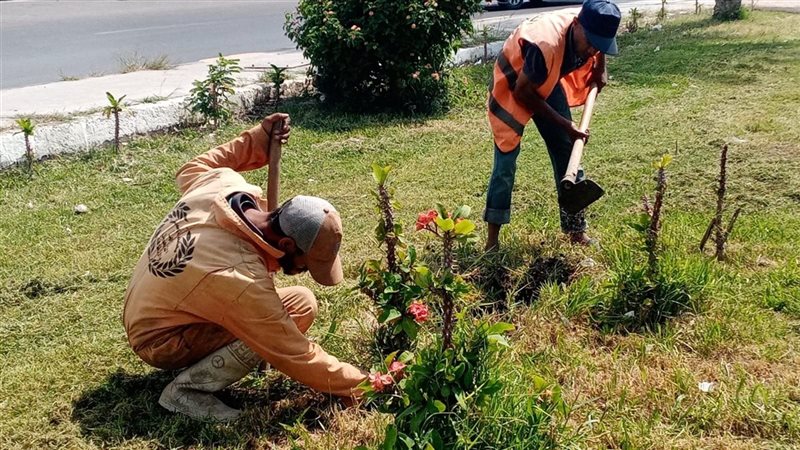 «ضمن مبادرة ١٠٠ مليون