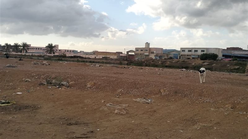 طقس غائم جزئيا ورياح