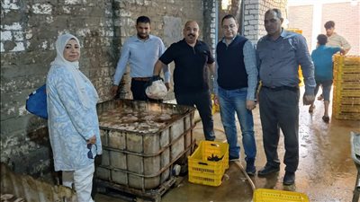 خلال يومين.. الجيزة: ضبط 3 أطنان دواجن فاسدة وبطاقات تموينية ودقيق بلدي مدعم