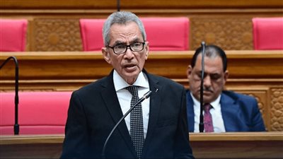 وزير شئون المجالس النيابية: الحكومة لا تتستر على أي فساد في هيئة التأمينات