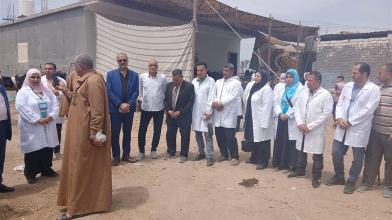 القافلة