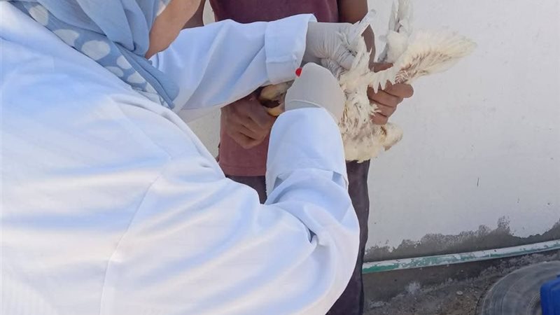 جانب من الحملة