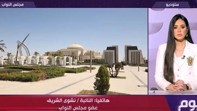 «البرلمان لم يطلع بعد على نص القانون».. نائبة تكشف مفاجآت جديدة