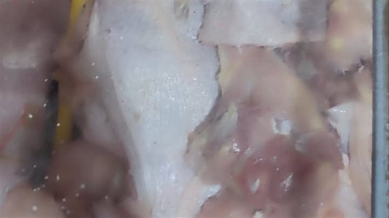 دجاج فاسد بمناخ بورسعيد