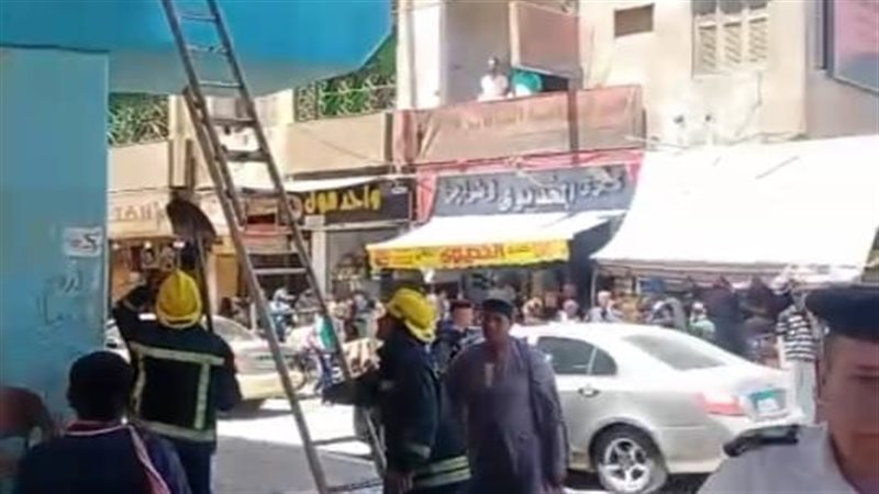 صور إنقاذ قطة 