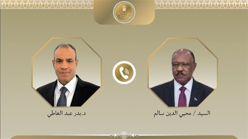 وزيرا خارجية مصر