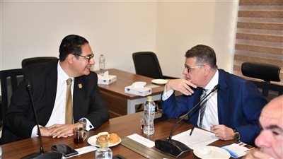 رئيس جامعة القاهرة يستعرض أمام لجنة حقوق الإنسان بمجلس النواب  