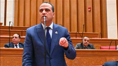 ممدوح جاب الله: التنمية حق للجميع وأحذر من كارثة بسبب كباري حوش عيسى بالبحيرة