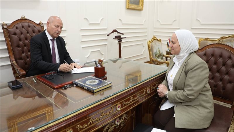 محافظ القاهرة 