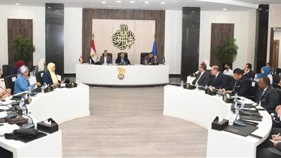 أسوان تتحرك نحو المستقبل.. «رؤية 2040» على طاولة المجلس الاقتصادي والاجتماعي