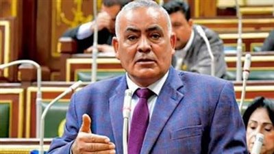 برلماني يدافع عن وزير الصحة وينفي ما أُثير بشأن خلافه مع النواب