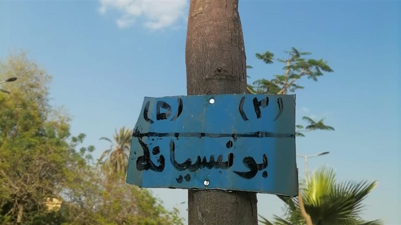 جانب من التكويد 