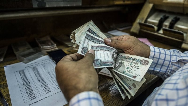 المرتبات 