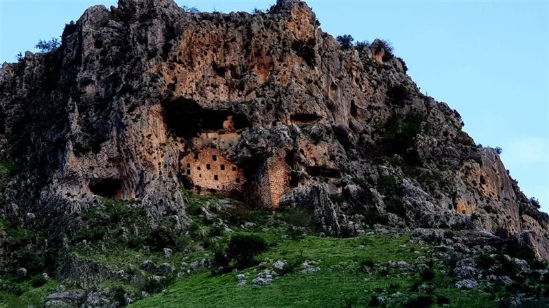 زلايا 