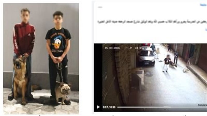 المتهمين 
