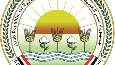 غداً.. الزراعة تبدأ صرف أسمدة المحاصيل الصيفية بإجراءات رقابية صارمة
