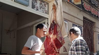 محافظ أسيوط: ضبط 1044 كيس شيبسي منتهي الصلاحية و92 كيلو لحوم غير صالحة 
