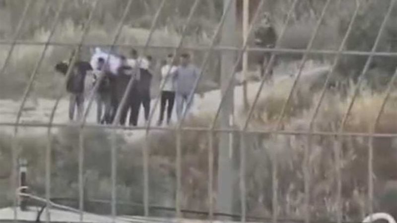 أرشيفية