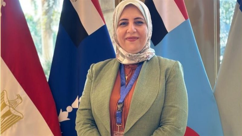 الأستاذة الدكتورة