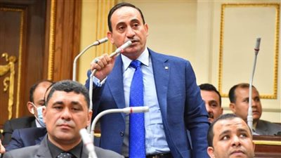 عضو بمجلس النواب يطالب الحكومة بمواجهة الكلاب الضالة فورًا