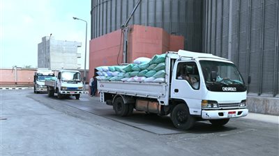 البحيرة تقترب من تحقيق المستهدف.. 116 ألف طن قمح في الصوامع حتى اليوم