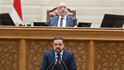 برئاسة محمد مجاهد.. لجنة الشباب والرياضة بالنواب تناقش موازنة الشباب والرياضة