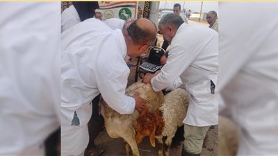 ضمن المبادرة الرئاسية 
