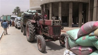 محافظ سوهاج: طفرة قياسية في توريد القمح واستقبال 170 ألف طن بالصوامع