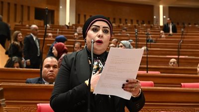 «تعليم النواب»: الشراكة مع فرنسا تعزز البحث العلمي والتبادل الأكاديمي|خاص