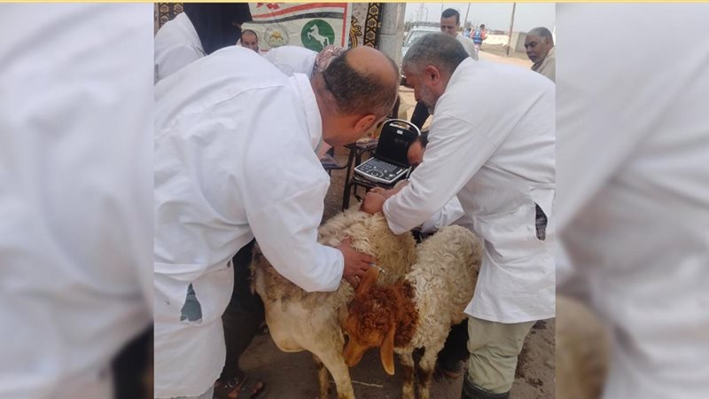 القافلة الطبية
