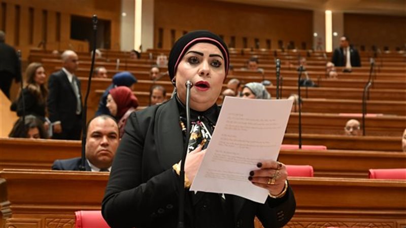النائبة جيهان شاهين