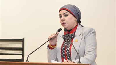 جيهان شاهين: حفظ السلام رسالة إنسانية ومصر شريك في تحقيق الاستقرار العالمي