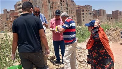 محافظ أسيوط يعلن انطلاق الحملة القومية لمكافحة القوارض لحماية المحاصيل الزراعي