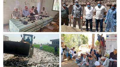 حصاد القمح وإزالة التعديات.. أبرز جهود زراعة بني سويف خلال أسبوع