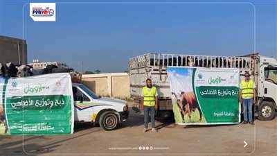 خلال عيد الأضحى.. 75 ألف كيلو لحوم أضاحى و75 عجل بلدى للاولى بالرعاية بالفيوم 
