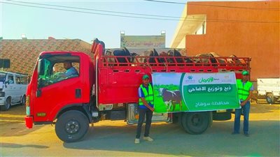 خلال عيد الأضحى.. توزيع 50 ألف كيلو لحوم و50 عجل بلدي على الأسر الفقيرة بسوهاج