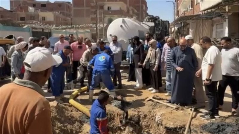 النائبة ريهام الشطوري