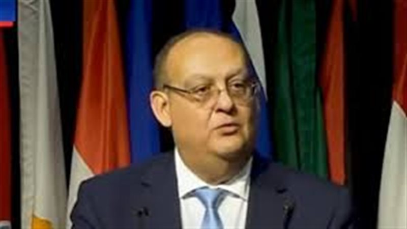 السفير وائل النجار