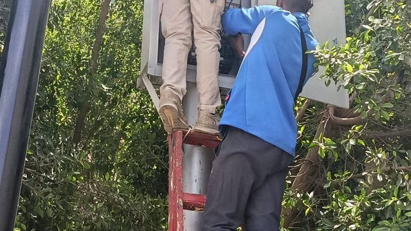 جانب من المتابعة