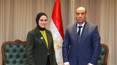 حسن رداد ونائبة وزير الخارجية يبحثان فتح أسواق عمل للكوادر المصرية بالخارج