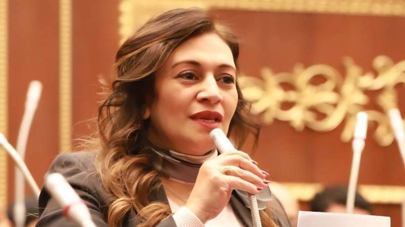  النائبة نيفين فارس
