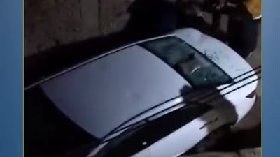 مشاجرة القناطر يتصدر التريند.. والأمن يكشف كواليس معركة الأشقاء وأبناء العم 