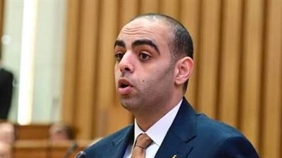 برلماني: تحركات الرئيس تؤكد ثبات الدور المصري في دعم الأمن والاستقرار